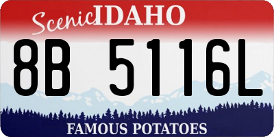 ID license plate 8B5116L