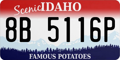 ID license plate 8B5116P