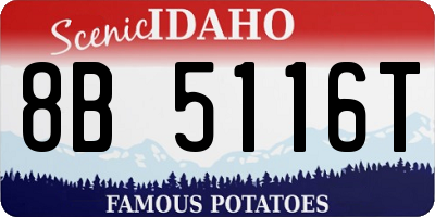 ID license plate 8B5116T