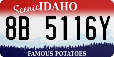ID license plate 8B5116Y