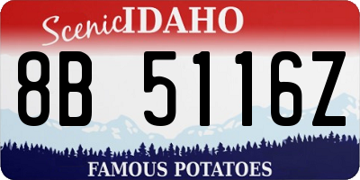 ID license plate 8B5116Z