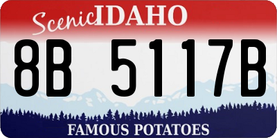 ID license plate 8B5117B
