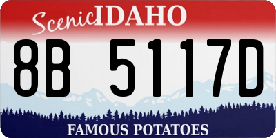 ID license plate 8B5117D