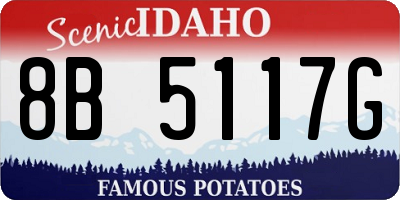 ID license plate 8B5117G