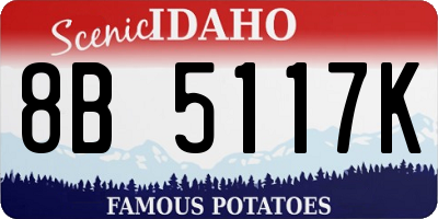 ID license plate 8B5117K