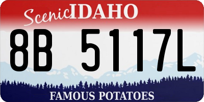 ID license plate 8B5117L