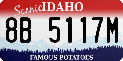 ID license plate 8B5117M