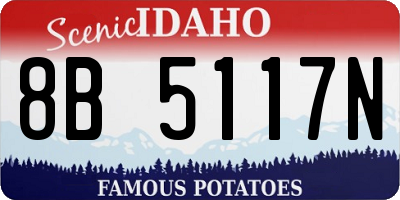 ID license plate 8B5117N