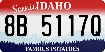 ID license plate 8B5117Q