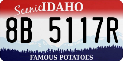 ID license plate 8B5117R