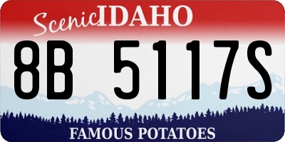 ID license plate 8B5117S