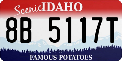 ID license plate 8B5117T