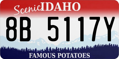 ID license plate 8B5117Y