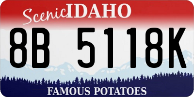 ID license plate 8B5118K