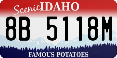 ID license plate 8B5118M