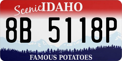 ID license plate 8B5118P