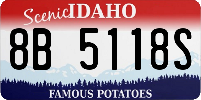 ID license plate 8B5118S