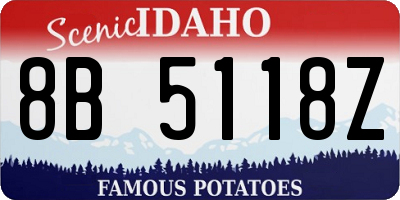 ID license plate 8B5118Z