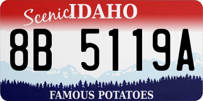 ID license plate 8B5119A