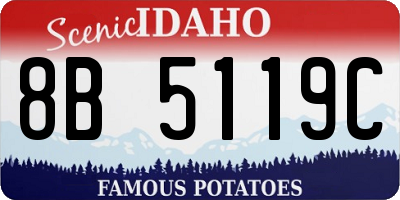 ID license plate 8B5119C