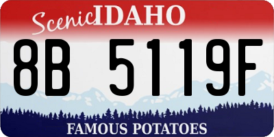 ID license plate 8B5119F