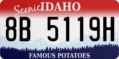 ID license plate 8B5119H