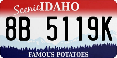 ID license plate 8B5119K
