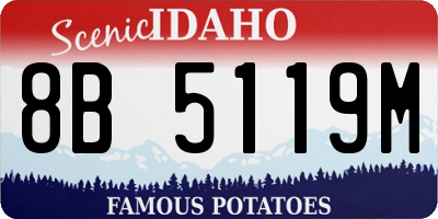 ID license plate 8B5119M