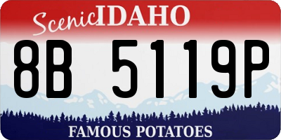 ID license plate 8B5119P