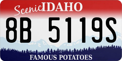 ID license plate 8B5119S