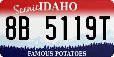 ID license plate 8B5119T