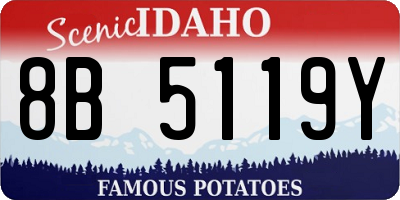 ID license plate 8B5119Y
