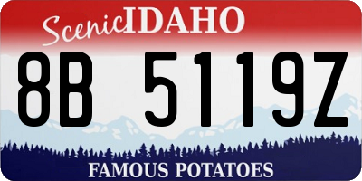 ID license plate 8B5119Z