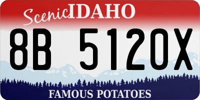 ID license plate 8B5120X
