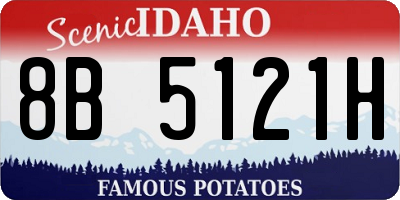 ID license plate 8B5121H