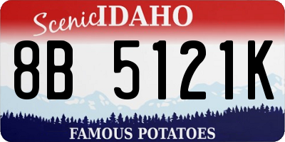 ID license plate 8B5121K