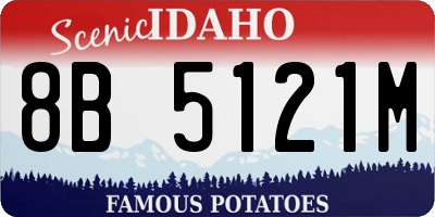 ID license plate 8B5121M