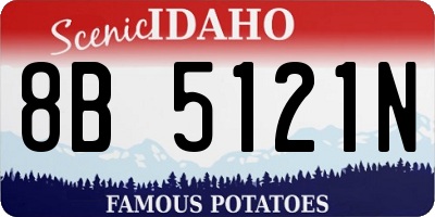 ID license plate 8B5121N