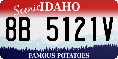 ID license plate 8B5121V