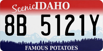 ID license plate 8B5121Y