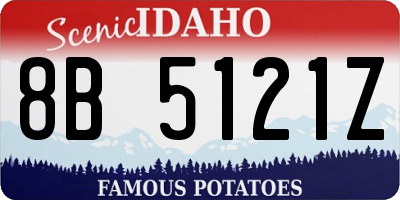 ID license plate 8B5121Z