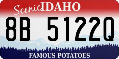 ID license plate 8B5122Q