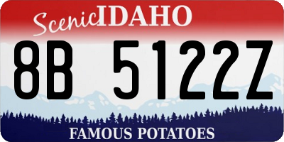 ID license plate 8B5122Z