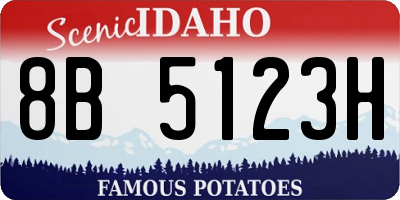 ID license plate 8B5123H