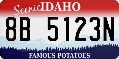 ID license plate 8B5123N