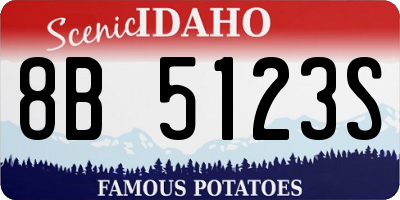 ID license plate 8B5123S