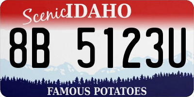 ID license plate 8B5123U