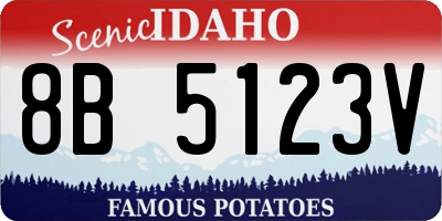 ID license plate 8B5123V