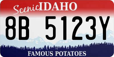 ID license plate 8B5123Y