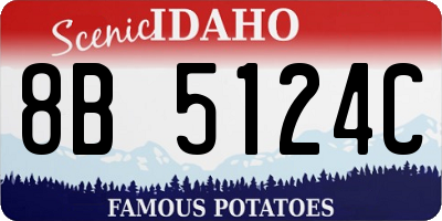 ID license plate 8B5124C